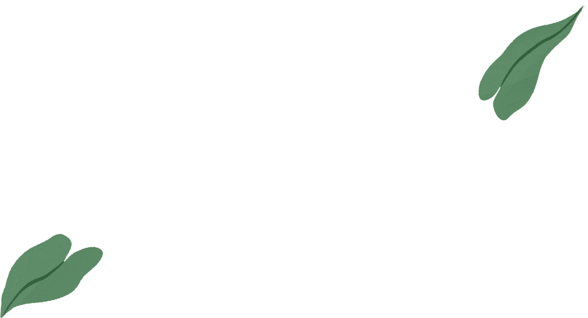 그 상태로 화면에서 초록색 나뭇잎들이 흘러나오고 있는 MacBook Air 일러스트가 프레임 안으로 등장함.