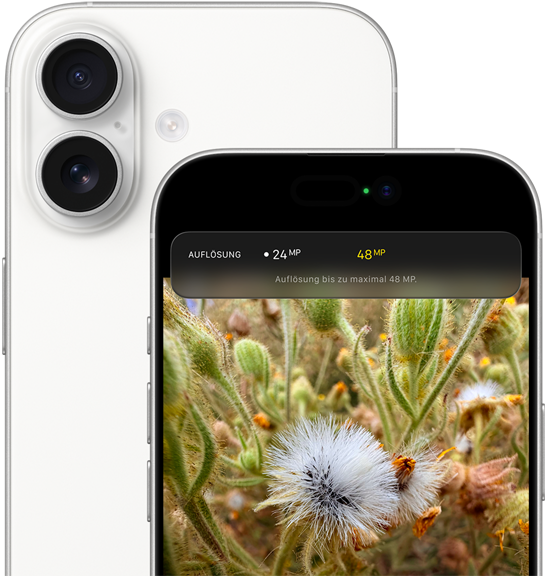 Gruppenselfie mit dem Feature Automatische Ausrichtung für Fotos